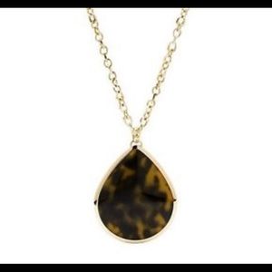 Fossil tortoise necklace